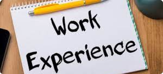 work-experience